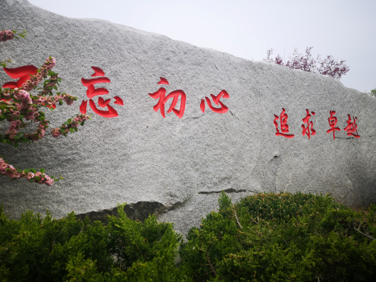 因联理念